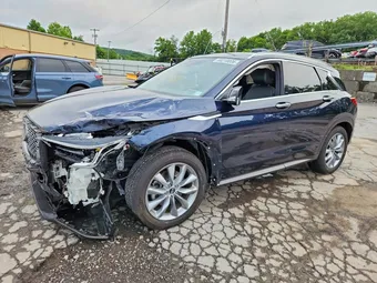 2019 Infiniti QX50 3PCAJ5M31KF137584