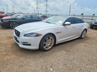 2019 Jaguar XJ-Series SAJWJ1CD5K8W18089