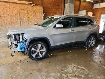 2019 Jeep Cherokee 1C4PJMDN9KD180180 Lot 57294336