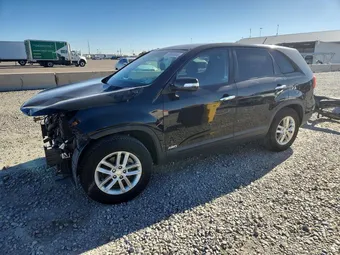2015 Kia Sorento 5XYKTCA67FG608069 Lot 55556666