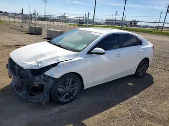 2021 Kia Forte 3KPF54AD6ME356129 Lot 55244986