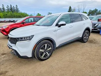 2022 Kia Sorento 5XYRGDLC4NG093848 Lot 58695876