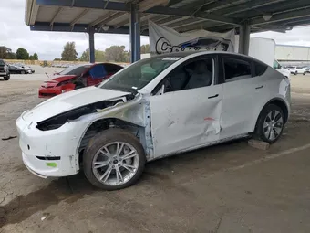2023 Tesla Model Y 7SAYGDEEXPF742575 Lot 59105136