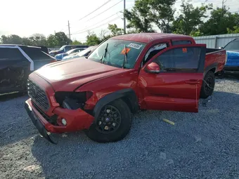 2023 Toyota Tacoma 3TMCZ5AN5PM575146 Lot 51416306