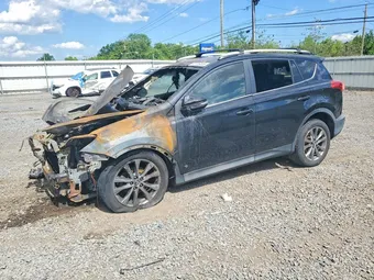 2015 Toyota RAV4 2T3RFREV7FW242724 Lot 55706406