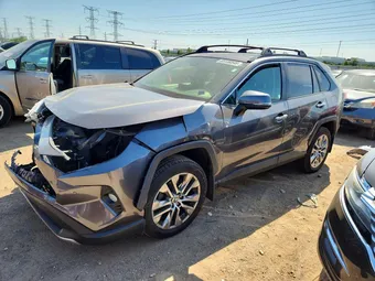 2019 Toyota RAV4 JTMN1RFV0KJ017937 Lot 54885956