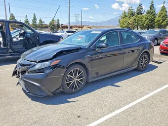 2021 Toyota Camry 4T1S31AK8MU024174 Lot 52386176