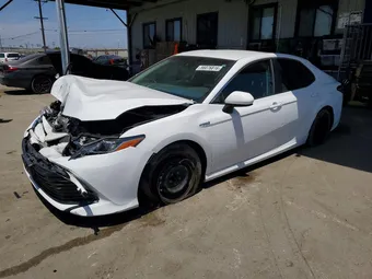 2018 Toyota Camry 4T1B31HK8JU506113 Lot 56076816