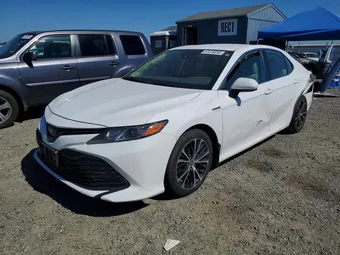 2019 Toyota Camry 4T1B31HKXKU516238 Lot 57375316