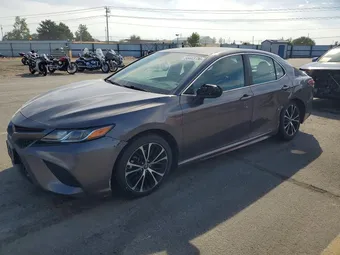 2019 Toyota Camry 4T1B11HK1KU182347 Lot 55443706