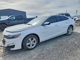 2020 Chevrolet Malibu 1G1ZD5ST4LF058784 Lot 53663916
