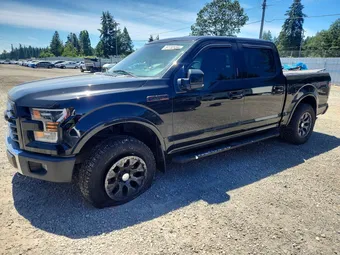 2017 Ford F-150 1FTEW1EF1HKD74723 Lot 57732456