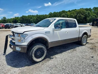2015 Ford F-150 1FTEW1EF7FKD03992 Lot 58432746
