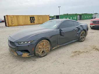 2024 Ford Mustang 1FA6P8TH2R5111905 Lot 54386546
