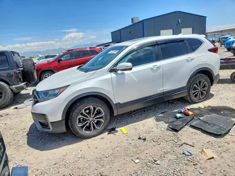 2020 Honda CR-V 5J6RW2H53LL019446 Lot 55255856
