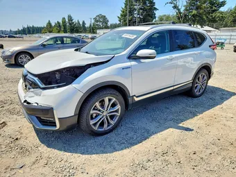 2020 Honda CR-V 7FART6H9XLE019461 Lot 60419436