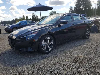 2023 Hyundai Elantra 5NPLS4AG9PH091390 Lot 53387696