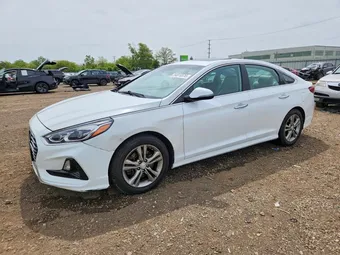 2019 Hyundai Sonata 5NPE34AF9KH808568 Lot 54818576