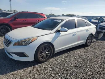 2016 Hyundai Sonata 5NPE24AF2GH294833 Lot 50571976