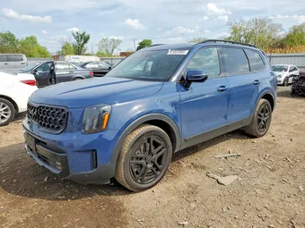 2025 Kia Telluride 5XYP5DGC9SG610080