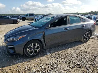 2019 Kia Forte 3KPF24AD1KE041454 Lot 55570536
