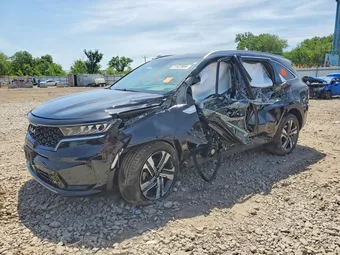 2024 Kia Sorento KNDRHDLG4R5248901 Lot 51923966