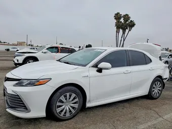 2021 Toyota Camry 4T1C31AK6MU564269 Lot 58077816