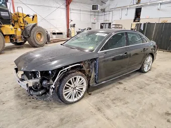 2019 Audi A4 WAUENAF46KN021204 Lot 57425286