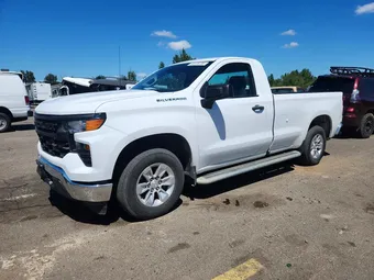 2023 Chevrolet Silverado 1500 3GCNAAED8PG302615 Lot 53728736
