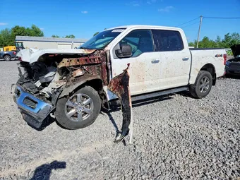 2020 Ford F-150 1FTEW1EP7LFC81652 Lot 53343306