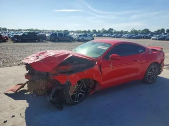 2019 Ford Mustang 1FA6P8TH6K5200219 Lot 51548896