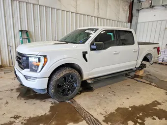 2022 Ford F-150 1FTEW1EP7NFB45234 Lot 52478276