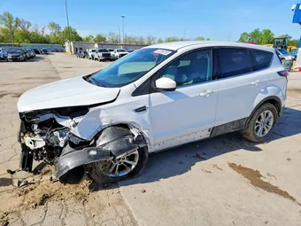 2017 Ford Escape 1FMCU0GD7HUB41819 Lot 52296756