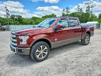 2017 Ford F-150 1FTEW1EG6HFA40611 Lot 58179926