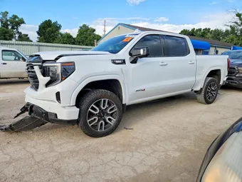 2025 GMC Sierra 1500 3GTUUEE89SG149135 Lot 56821676