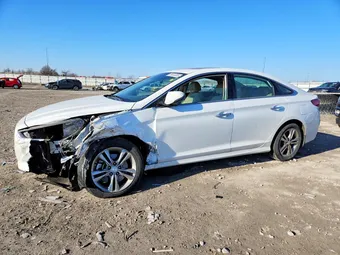 2019 Hyundai Sonata 5NPE34AF1KH809956 Lot 78623385