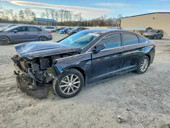 2019 Hyundai Sonata 5NPE24AF5KH776009 Lot 78516805