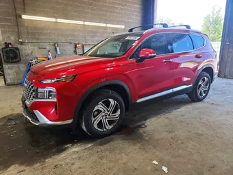 2023 Hyundai Santa Fe 5NMS3DAJ6PH593940 Lot 60922896