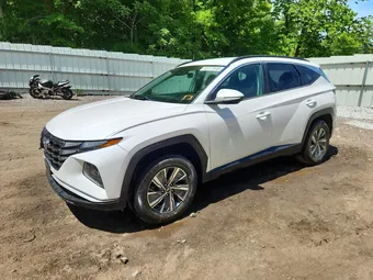 2022 Hyundai Tucson KM8JBCA15NU016777 Lot 55777916