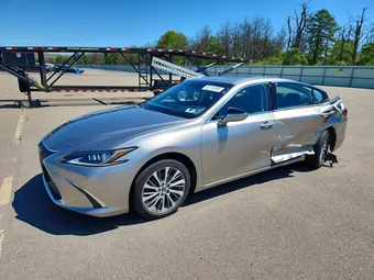 2019 Lexus ES 58ABZ1B14KU042875 Lot 58116396