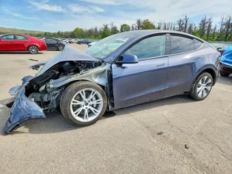2023 Tesla Model Y 7SAYGDEE7PF699331 Lot 55475666