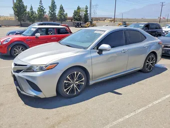 2019 Toyota Camry 4T1B11HK3KU248719 Lot 58445936