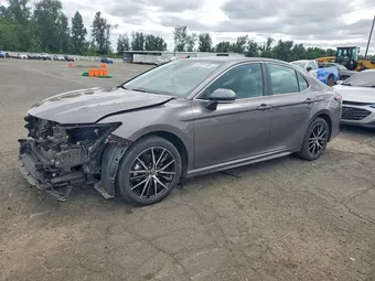 2022 Toyota Camry 4T1G31AK7NU576367 Lot 57731136