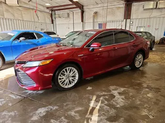 2020 Toyota Camry 4T1F31AK1LU529294 Lot 56351686
