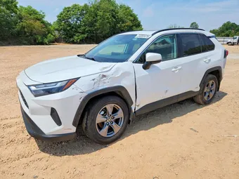 2024 Toyota RAV4 4T3RWRFV9RU135449 Lot 54053476