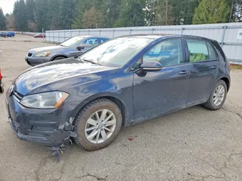 2015 Volkswagen Golf 3VW217AU3FM094667