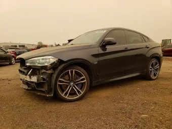 2015 BMW X6 5YMKW8C50F0G93684
