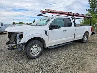2021 Ford F-150 1FTEX1C51MKD26981 Lot 50505926