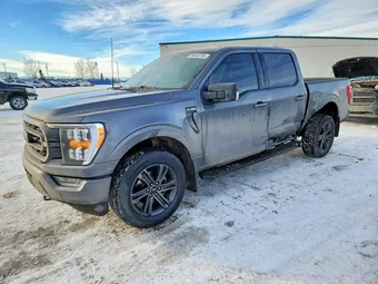 2021 Ford F-150 1FTEW1EP1MFC67747 Lot 99043735