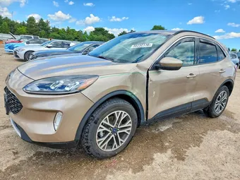 2020 Ford Escape 1FMCU9H69LUC33382 Lot 58232116